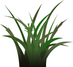 Dark Grass Shaded