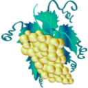 download Grappe clipart image with 90 hue color
