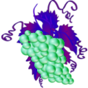 download Grappe clipart image with 180 hue color