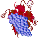 download Grappe clipart image with 270 hue color