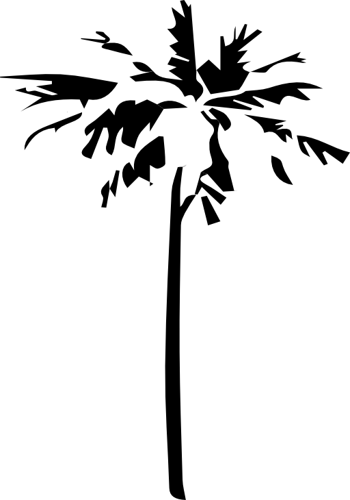 Palm