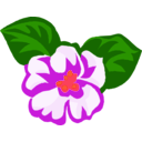 download African Violets clipart image with 315 hue color