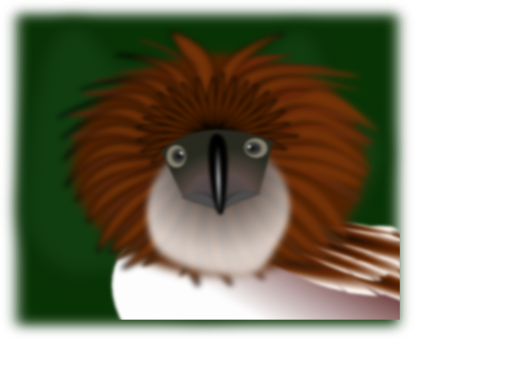 Philippine Eagle