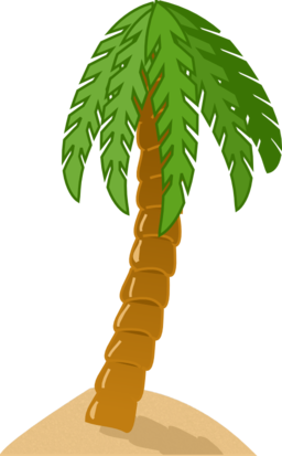 Palm Tree