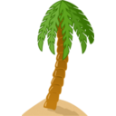 Palm Tree