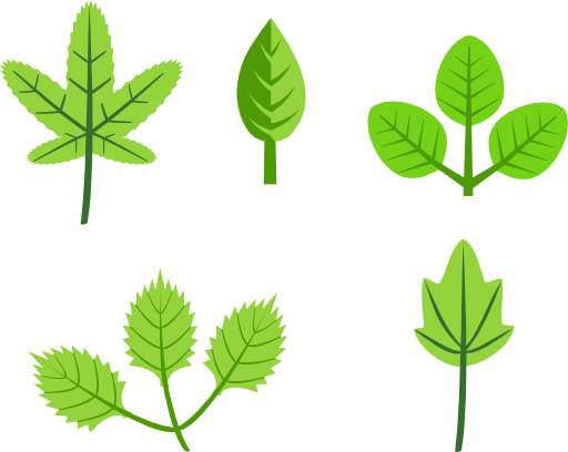 Set Of Leaves