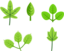 Set Of Leaves