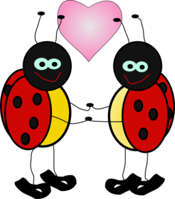 Lady Bugs