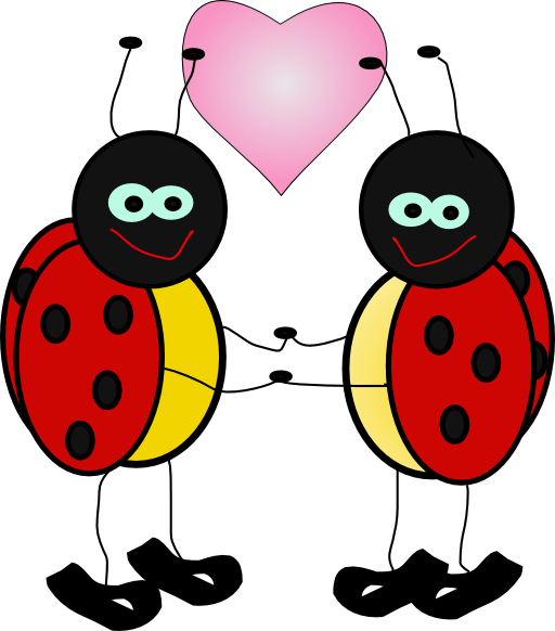 Lady Bugs