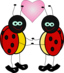 Lady Bugs