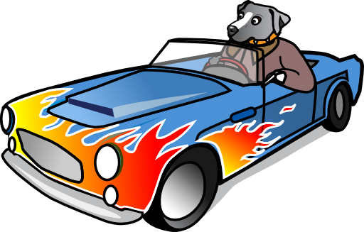 Dog In Sports Car