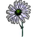 download Colored Daisy 1 clipart image with 45 hue color
