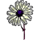 download Colored Daisy 1 clipart image with 225 hue color