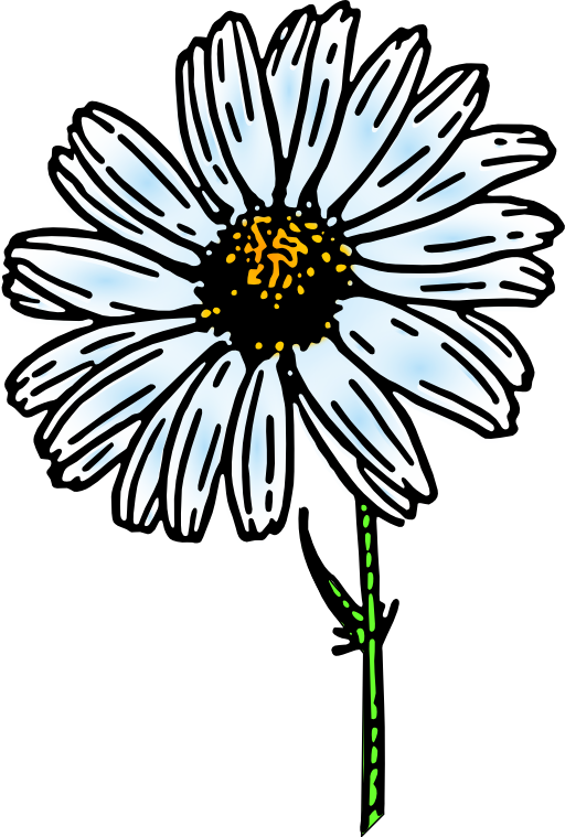 Colored Daisy 1