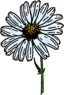 Colored Daisy 1