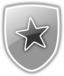 Shield Icon