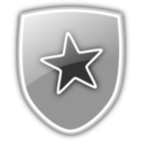 Shield Icon