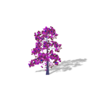 download Tree With Flowers clipart image with 225 hue color
