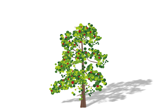 Tree With Flowers