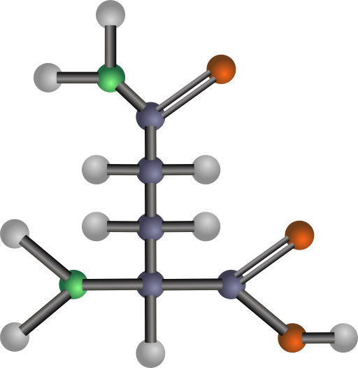 Glutamine Amino Acid