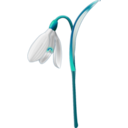 download Snowdrop Galanthus Nivalis clipart image with 90 hue color