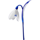 download Snowdrop Galanthus Nivalis clipart image with 135 hue color