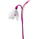 download Snowdrop Galanthus Nivalis clipart image with 225 hue color