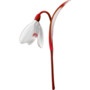 download Snowdrop Galanthus Nivalis clipart image with 270 hue color