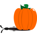 Rabbit Pumpkin