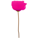 download Poppy Flower clipart image with 315 hue color