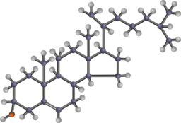 Cholesterol