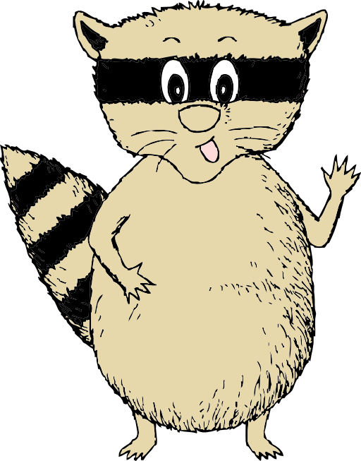 Raccoon