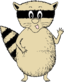 Raccoon