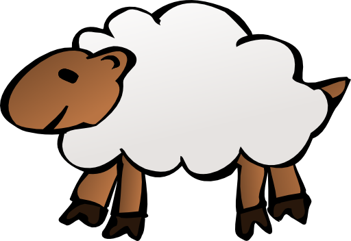 Sheep