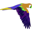 download Guacamaya clipart image with 45 hue color