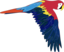 Guacamaya