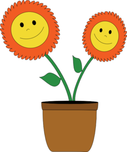 Smiley Sun Flowers