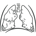 download 58294main The Brain In Space Page 157 Lungs clipart image with 180 hue color