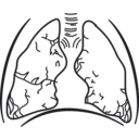 download 58294main The Brain In Space Page 157 Lungs clipart image with 270 hue color