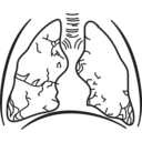 58294main The Brain In Space Page 157 Lungs