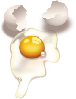 Egg Uncooked