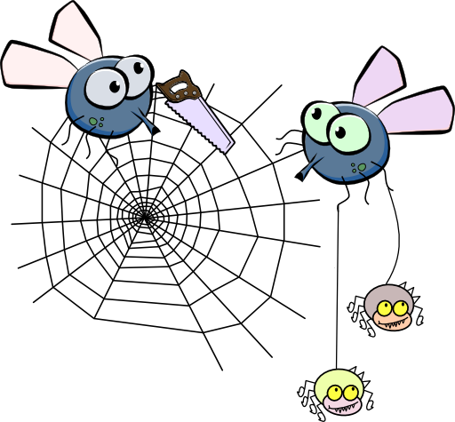 Fly After Drinking