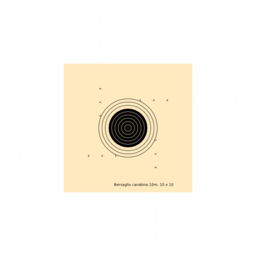 Bersaglio Carabina 10m