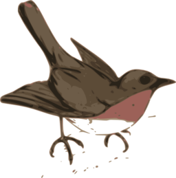 Bird Illustration