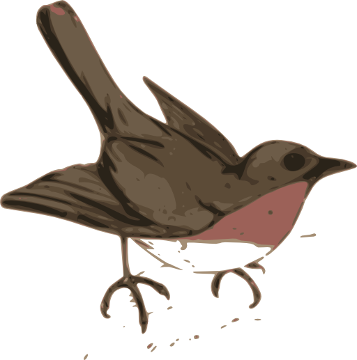 Bird Illustration