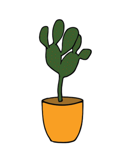 Cactus Plants 001