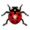 Ladybug