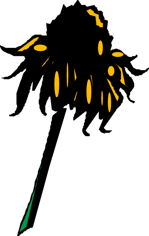 Flower Rudbeckia