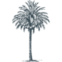 download Date Palm clipart image with 90 hue color