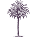 download Date Palm clipart image with 180 hue color